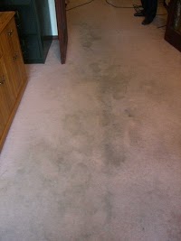 Bone Dry Carpet Cleaning 356657 Image 5